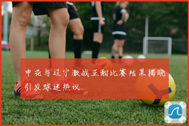 申花与辽宁激战正酣比赛结果揭晓引发球迷热议