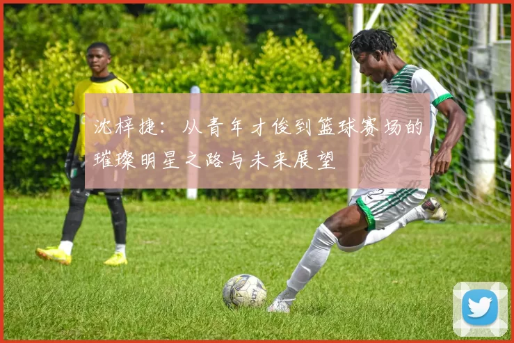 沈梓捷：从青年才俊到篮球赛场的璀璨明星之路与未来展望